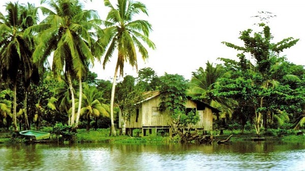 Tortuguero