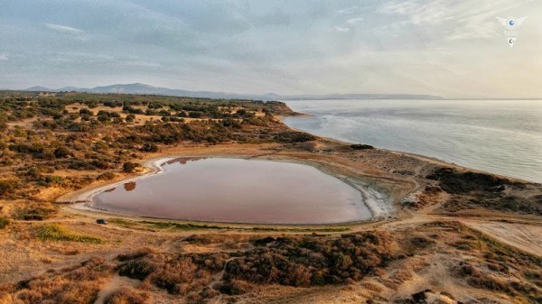 Dalyan