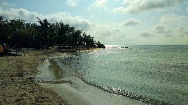 Water temperature in Playa del Carmen in The Caribbean now