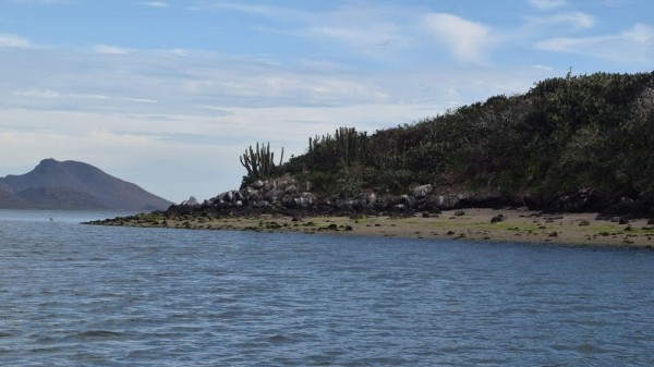 Topolobampo