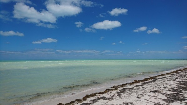 Holbox