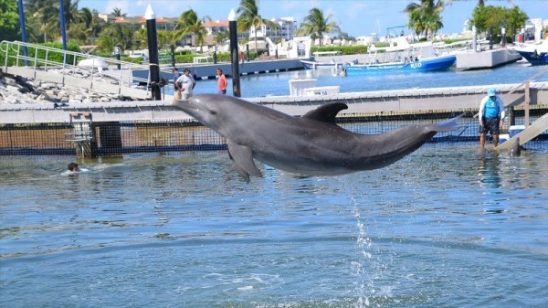 Puerto Morelos