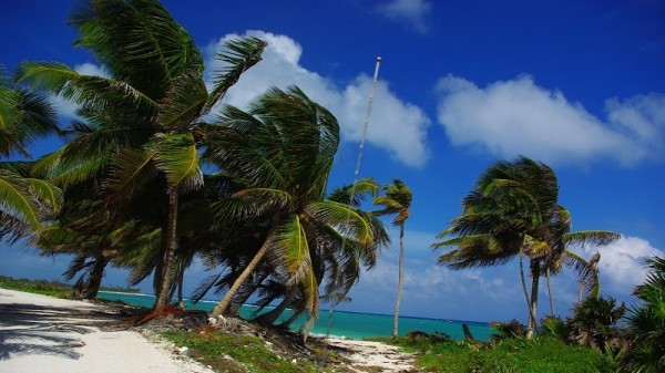 Punta Allen