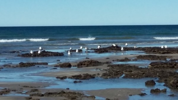 Playas Doradas