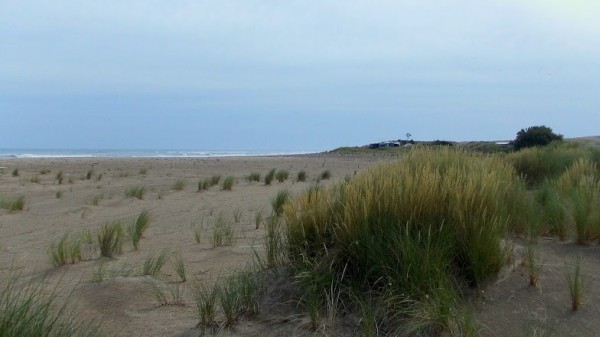 Centinela del Mar