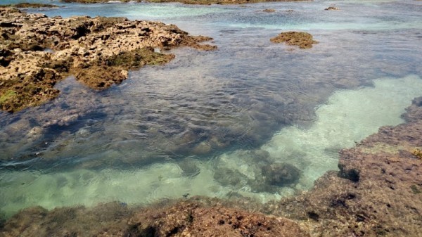 Porto de Galinhas