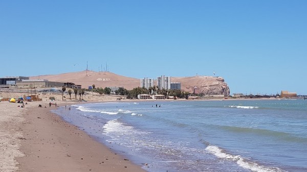 Arica