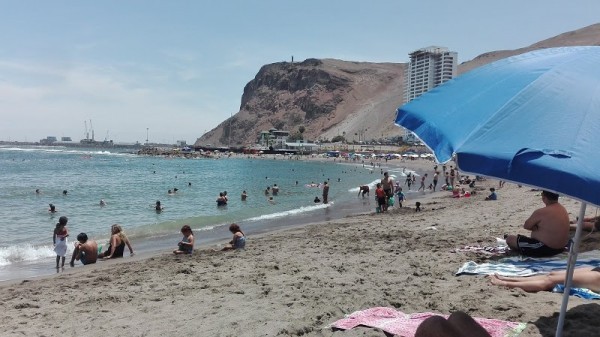 Arica