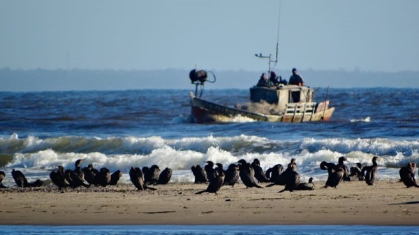 Barra de Valizas