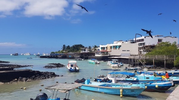 Puerto Ayora