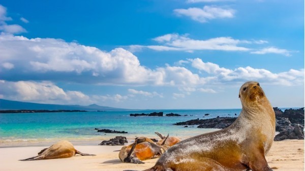 Galapagos Islands