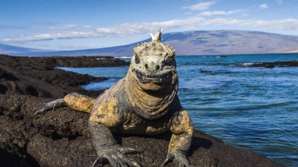 Galapagos Islands