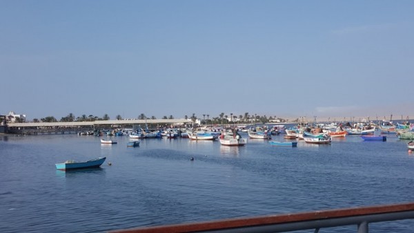 Paracas