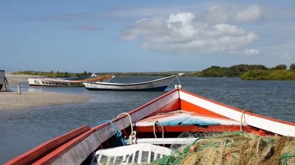 Punta De Piedras