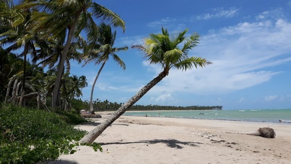 Porto de Pedras