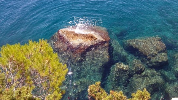 Marušići