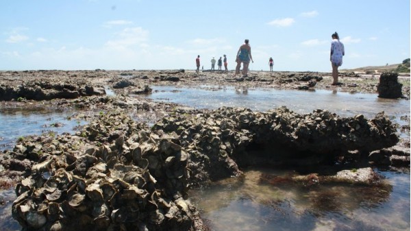 Rio do Fogo