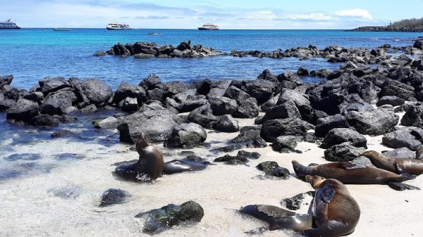 Puerto Baquerizo Moreno