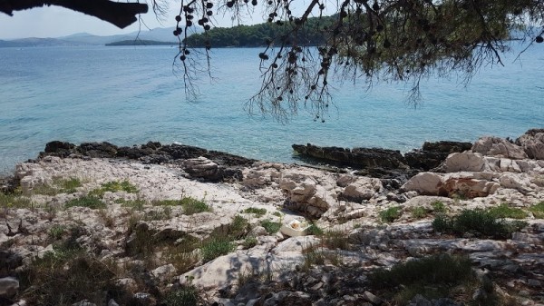 Otok Zlarin