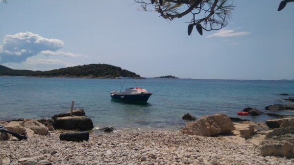 Otok Arta Vela