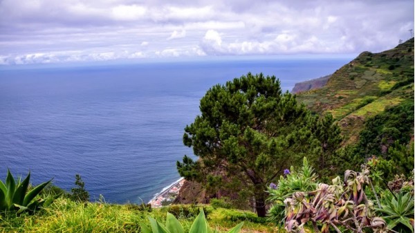 Calheta