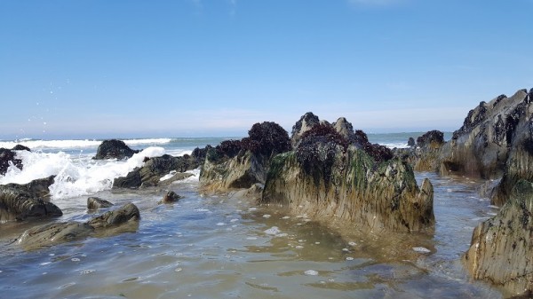 Praia da Ramalha