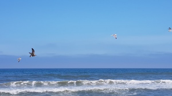 Praia das Conchas