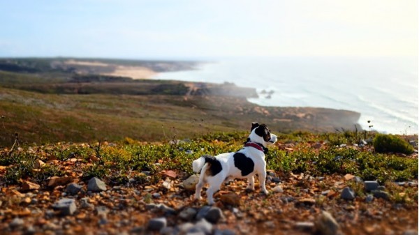 Praia da Grota