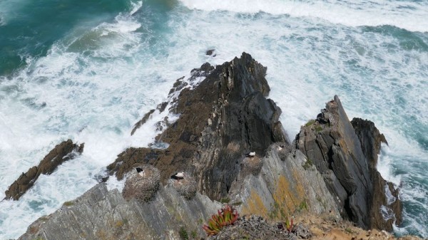 Zambujeira do Mar