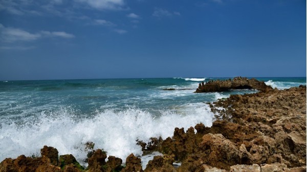 Praia da Amoreira