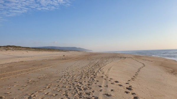 Praia da Costinha