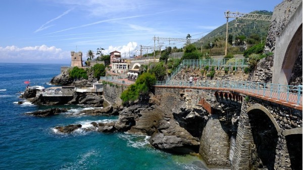 Nervi