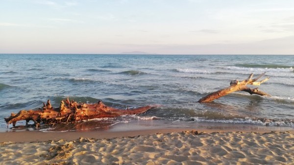 Marina di Alberese