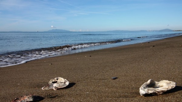 Lido di Tarquinia