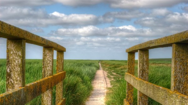 Westerhever