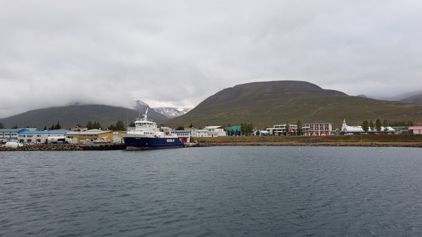 Dalvik