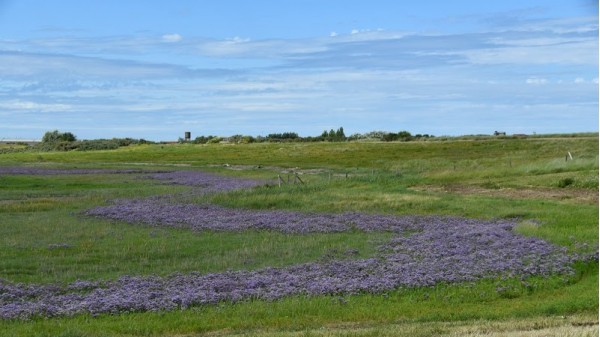 Middelkerke