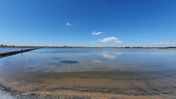 Kinburn Spit