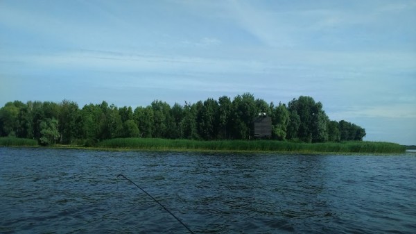 Straholesie