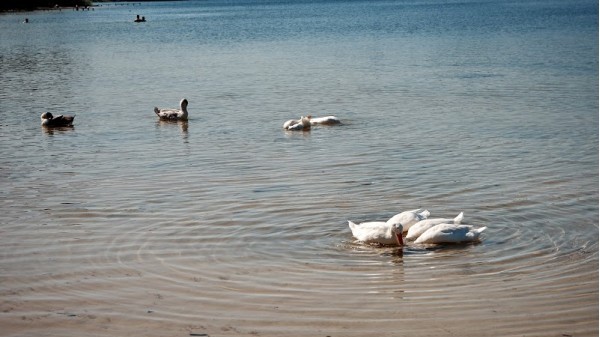 Lake Ostrovskoye