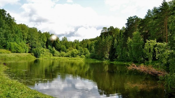 Berdsk