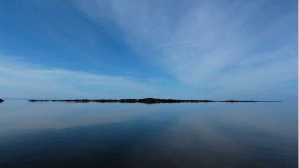 Amur estuary