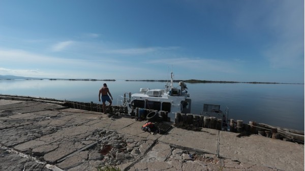 Amur estuary