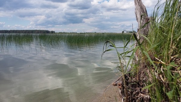 Kisegach Lake