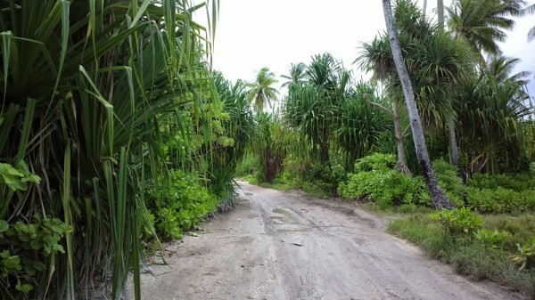 Napari Village