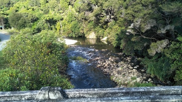 Lower Hutt