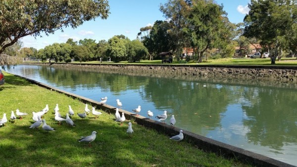 Haberfield