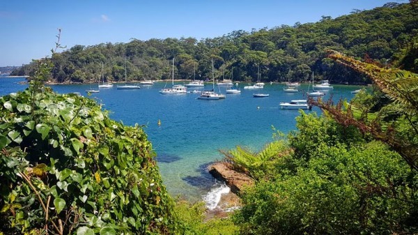 Mosman