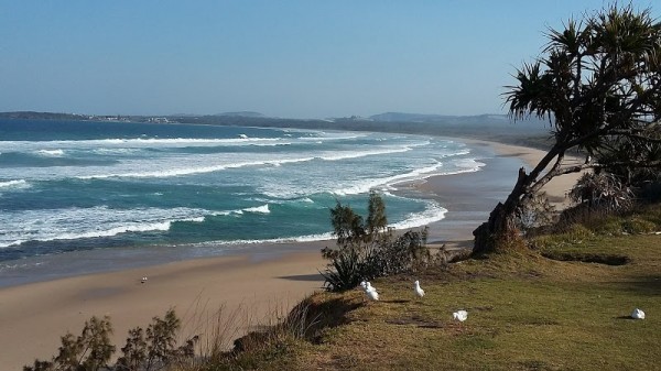 Woolgoolga