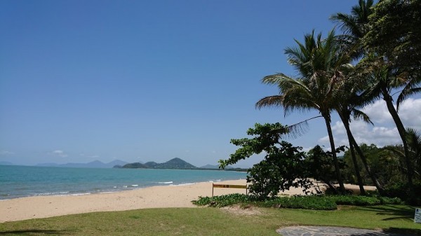 Palm Cove